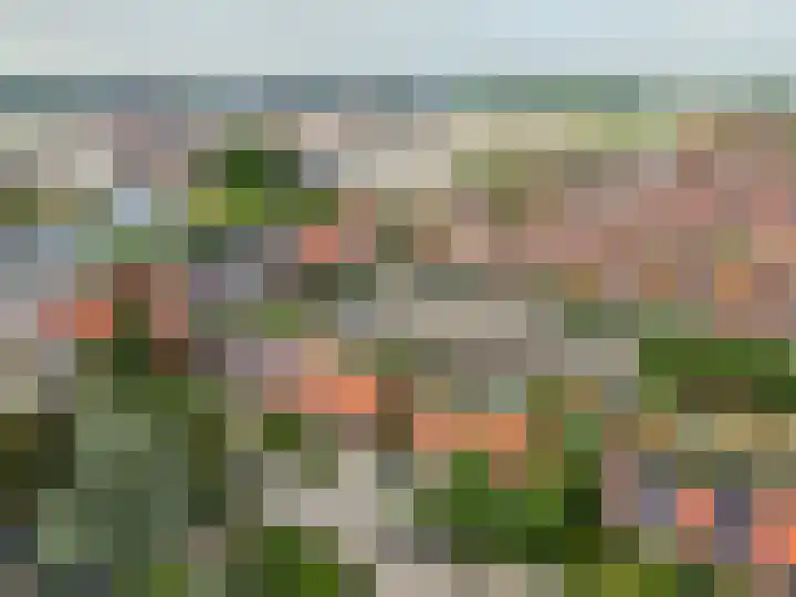 Vogelstraat 7 Harderwijk thumbnail 34