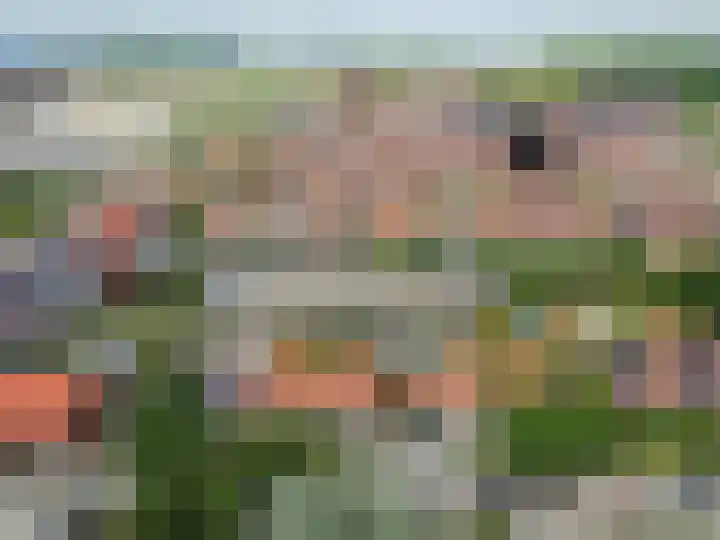 Vogelstraat 7 Harderwijk thumbnail 35