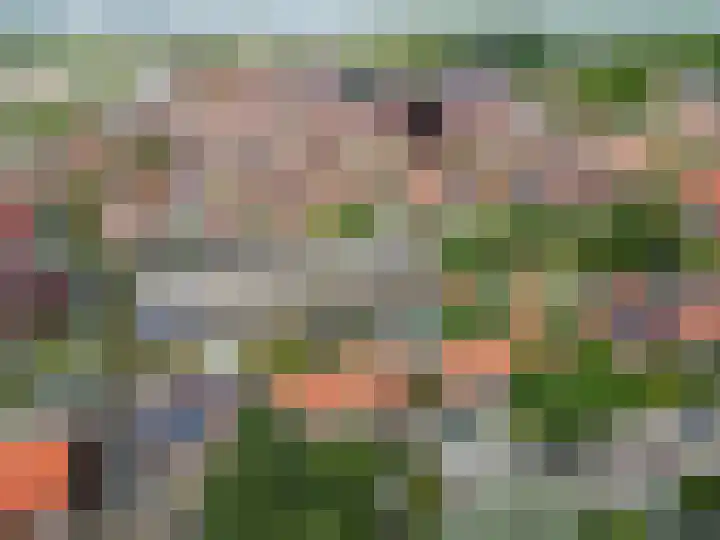 Vogelstraat 7 Harderwijk thumbnail 36
