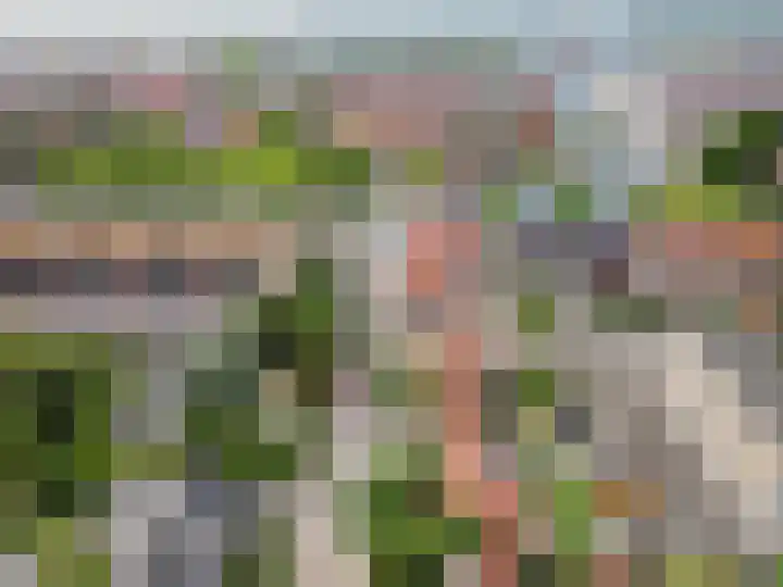 Vogelstraat 7 Harderwijk thumbnail 37