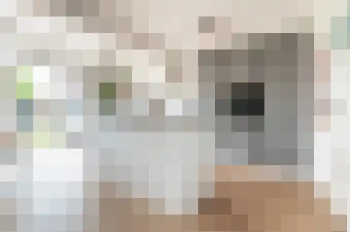 Vogelstraat 7 Harderwijk thumbnail 9