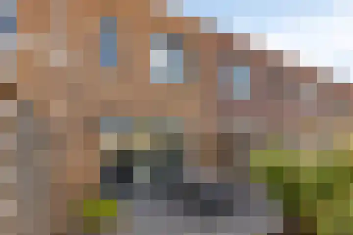 Vogeltjesmarkt 79 Veenendaal thumbnail 24
