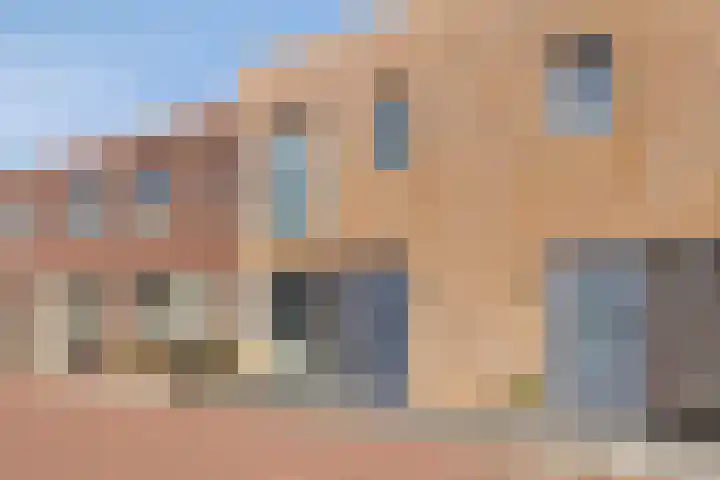 Vogeltjesmarkt 79 Veenendaal thumbnail 32