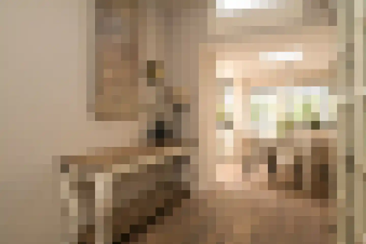 Vogeltuinen 14 Den Haag thumbnail 11
