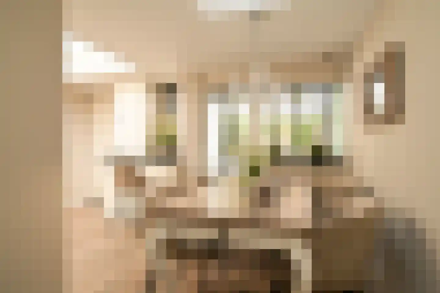 Vogeltuinen 14 Den Haag thumbnail 12