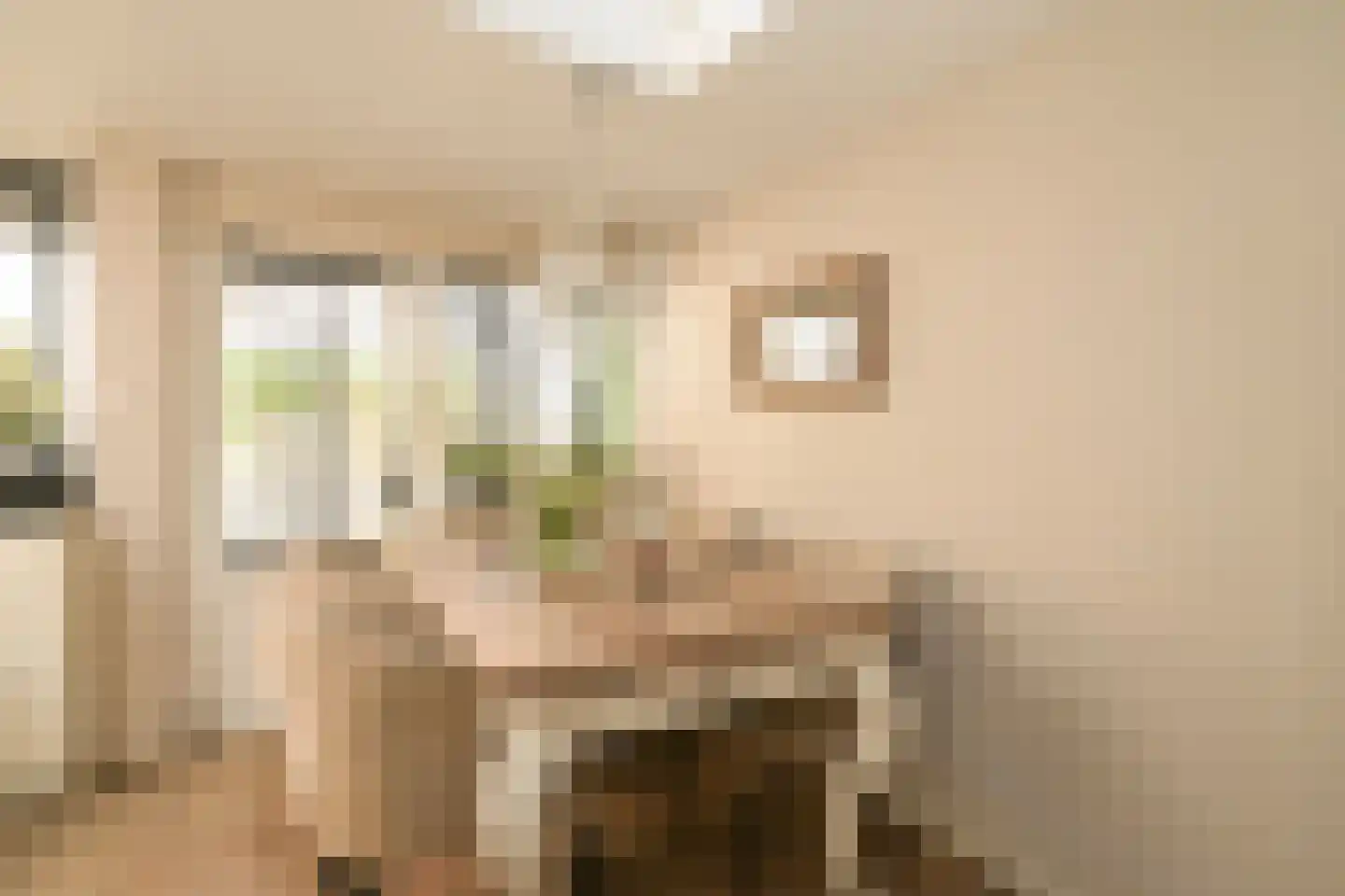Vogeltuinen 14 Den Haag thumbnail 13