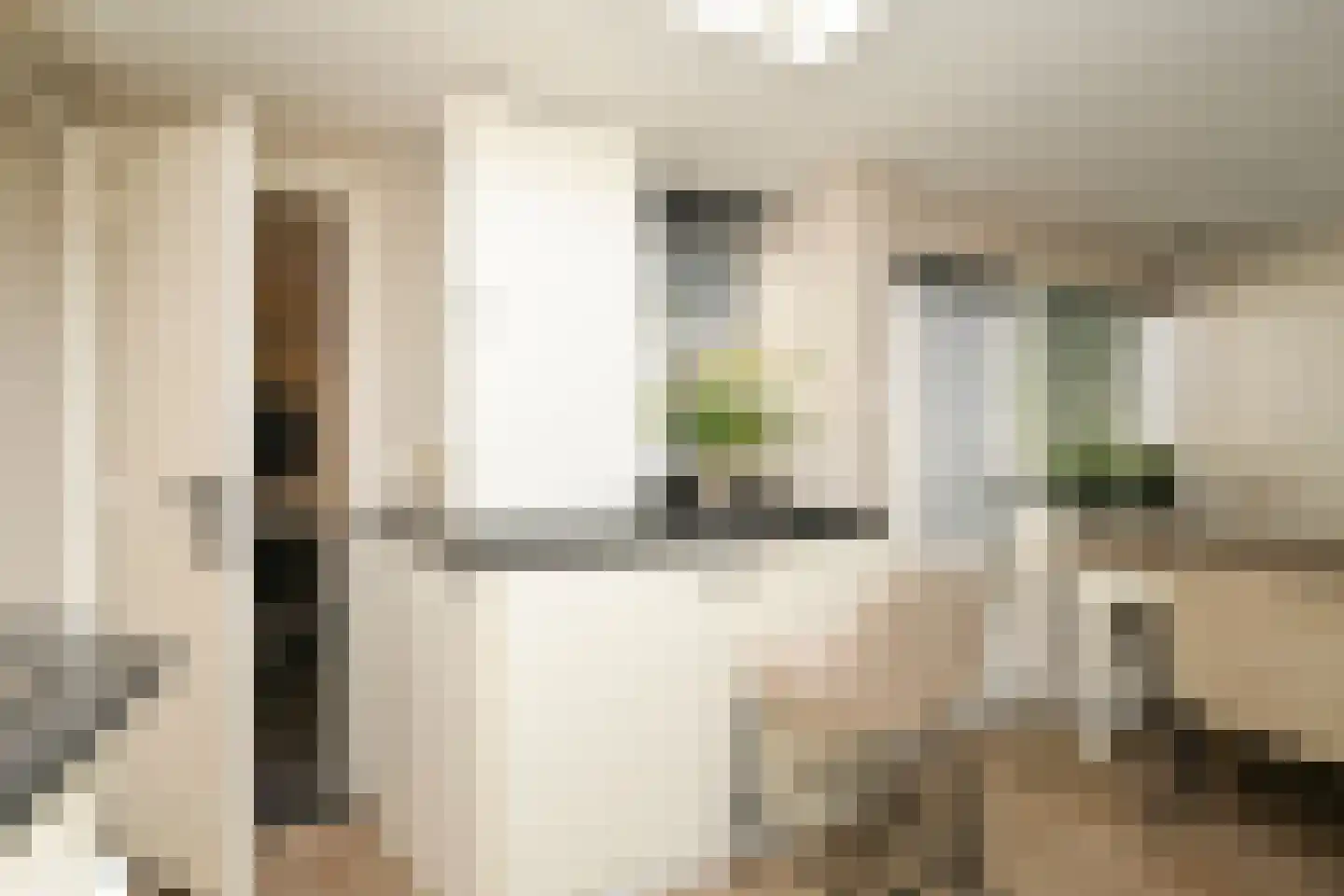Vogeltuinen 14 Den Haag thumbnail 18