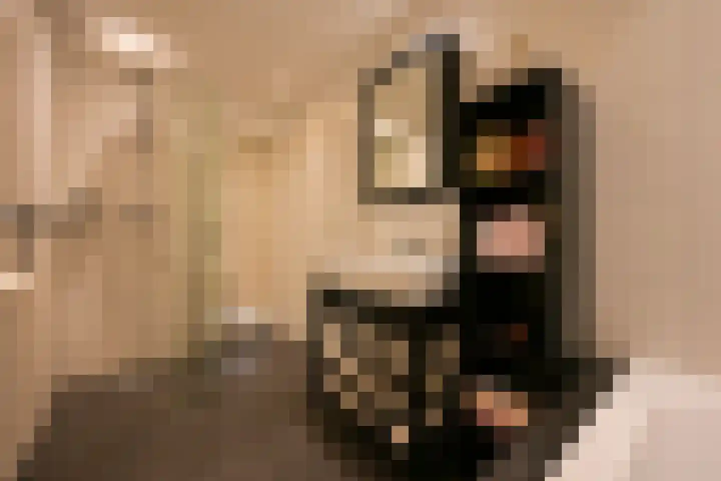 Vogeltuinen 14 Den Haag thumbnail 22