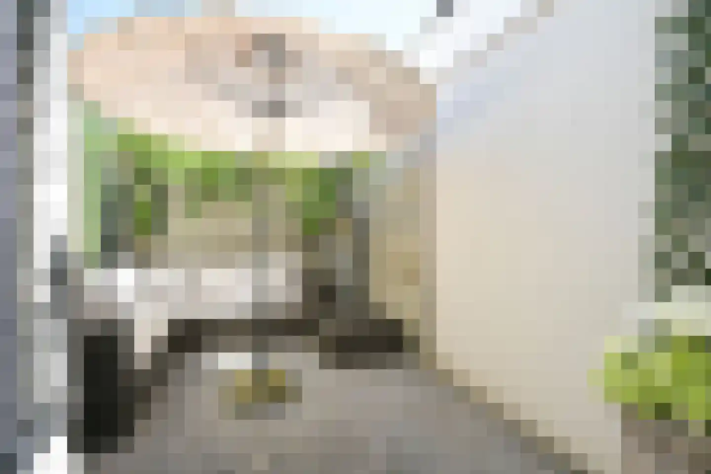 Vogeltuinen 14 Den Haag thumbnail 23