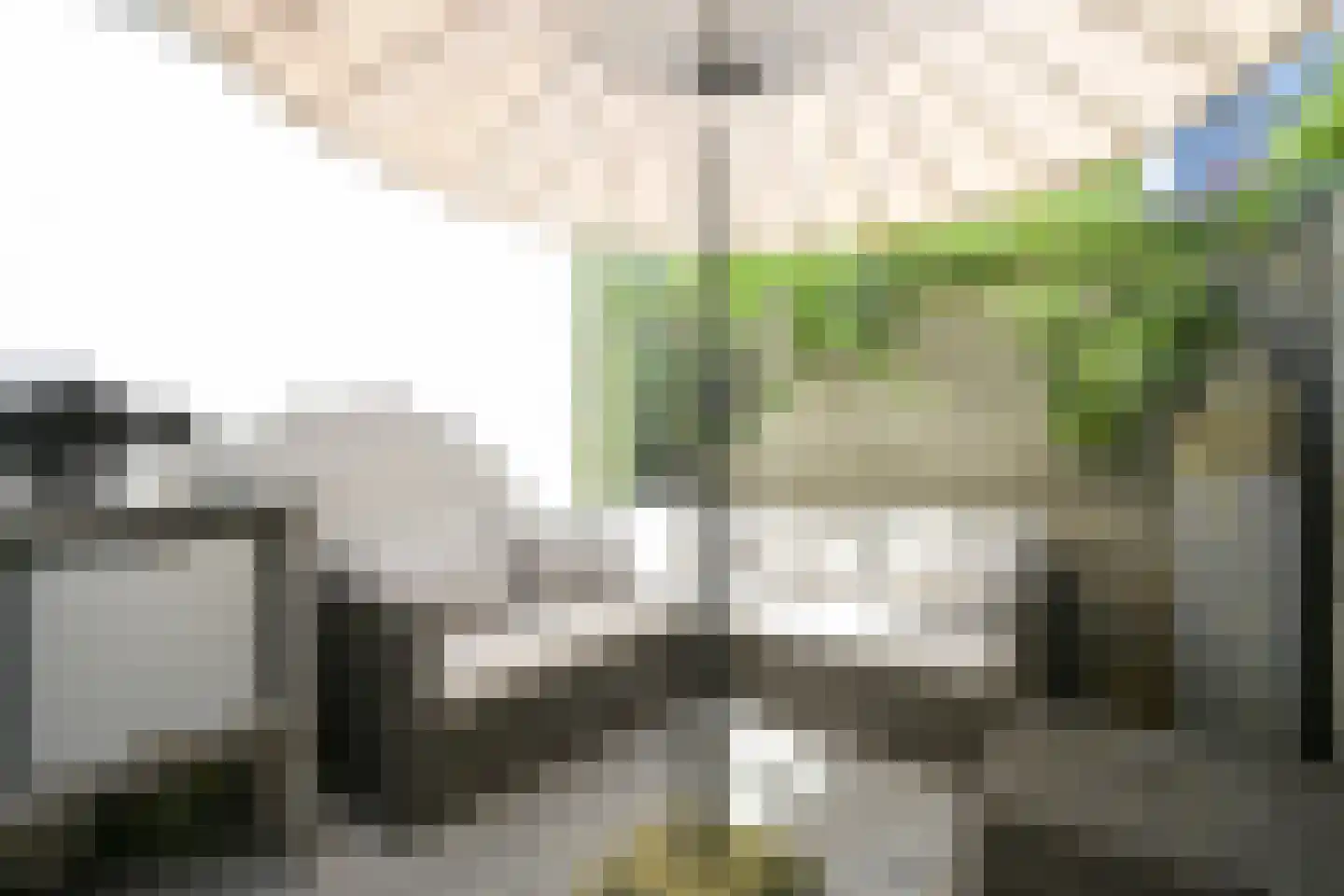 Vogeltuinen 14 Den Haag thumbnail 24