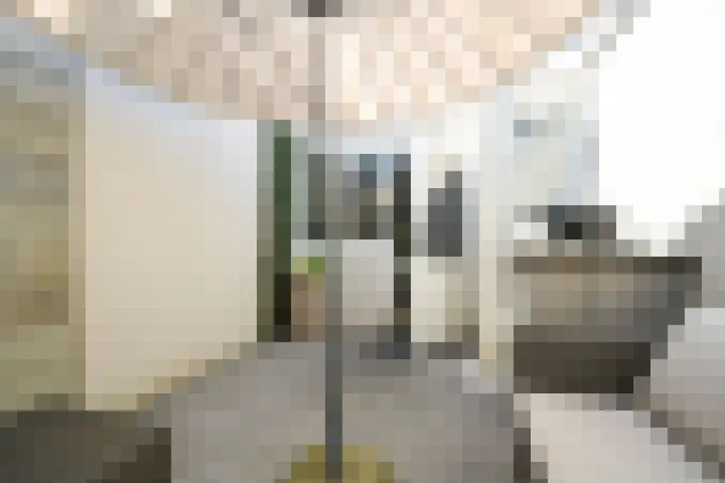 Vogeltuinen 14 Den Haag thumbnail 25