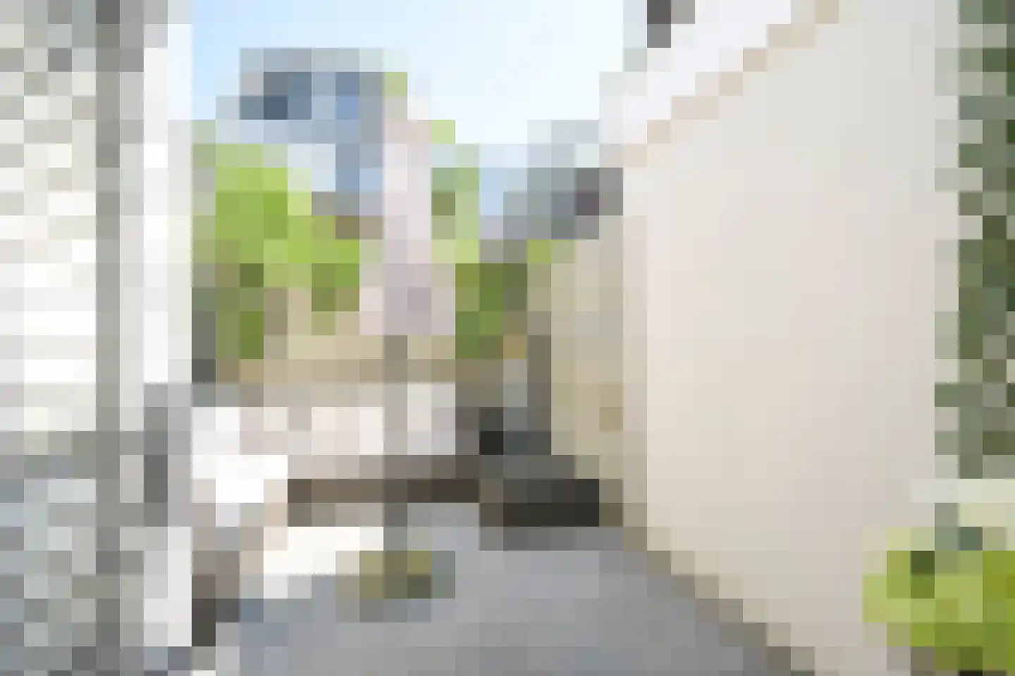 Vogeltuinen 14 Den Haag thumbnail 26