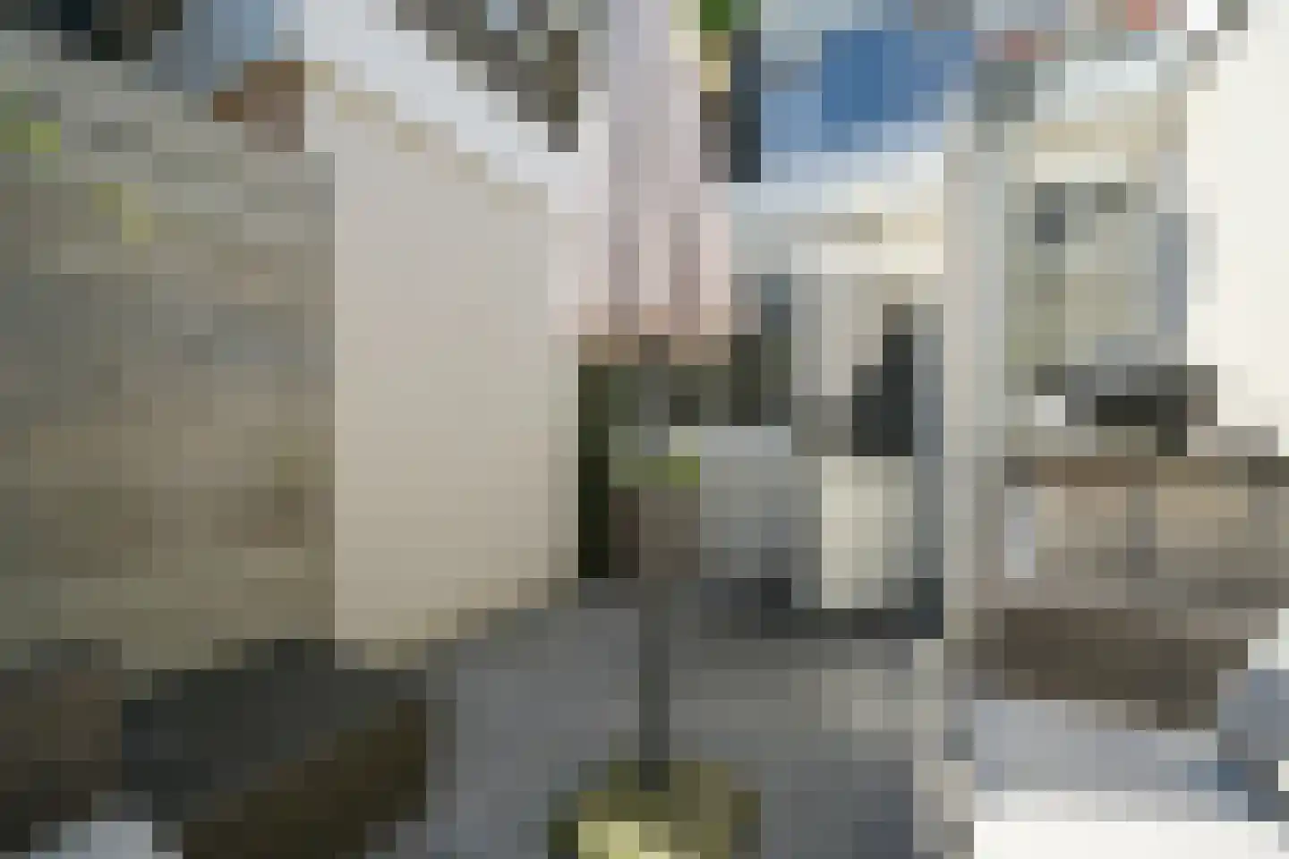 Vogeltuinen 14 Den Haag thumbnail 28