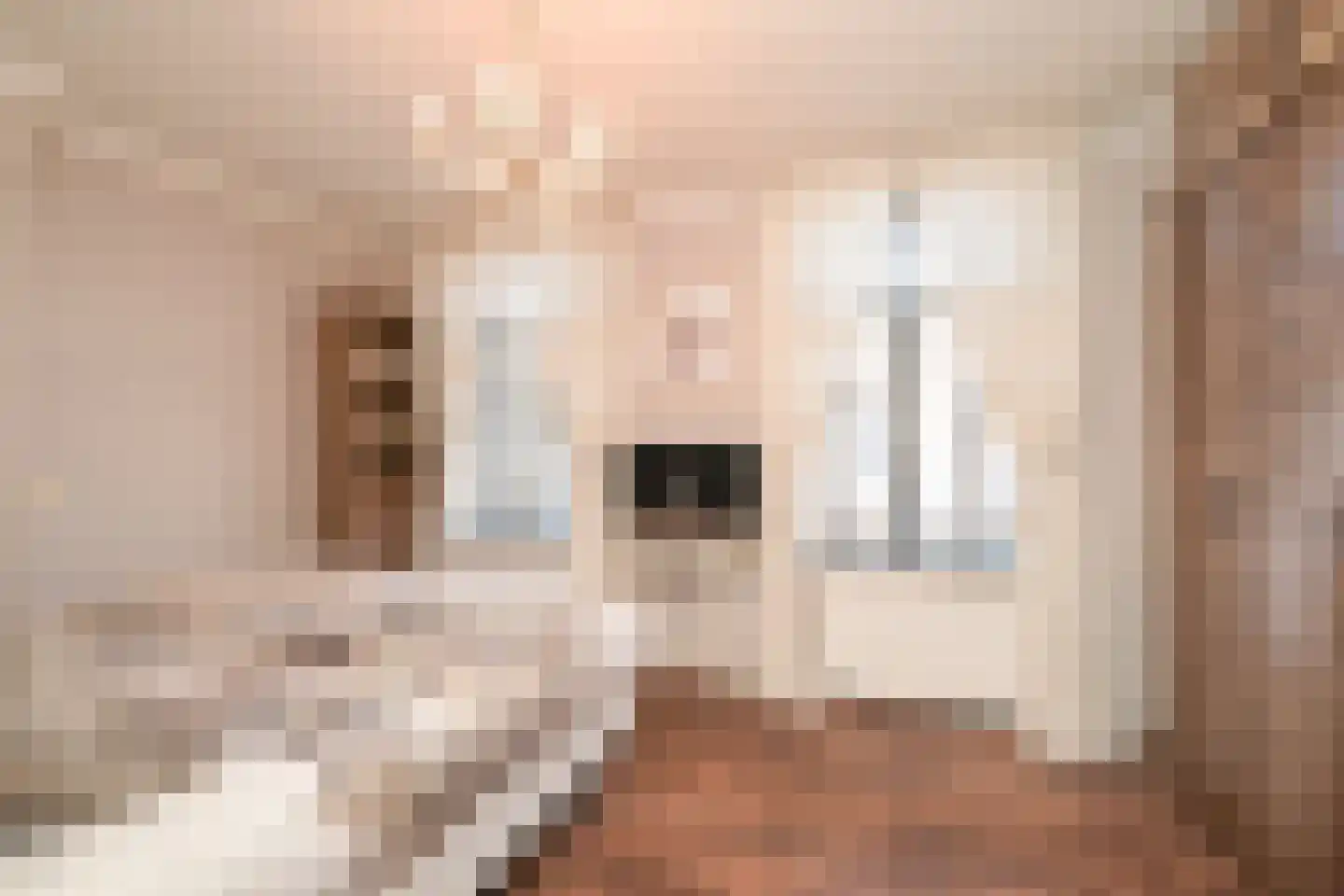 Vogeltuinen 14 Den Haag thumbnail 32