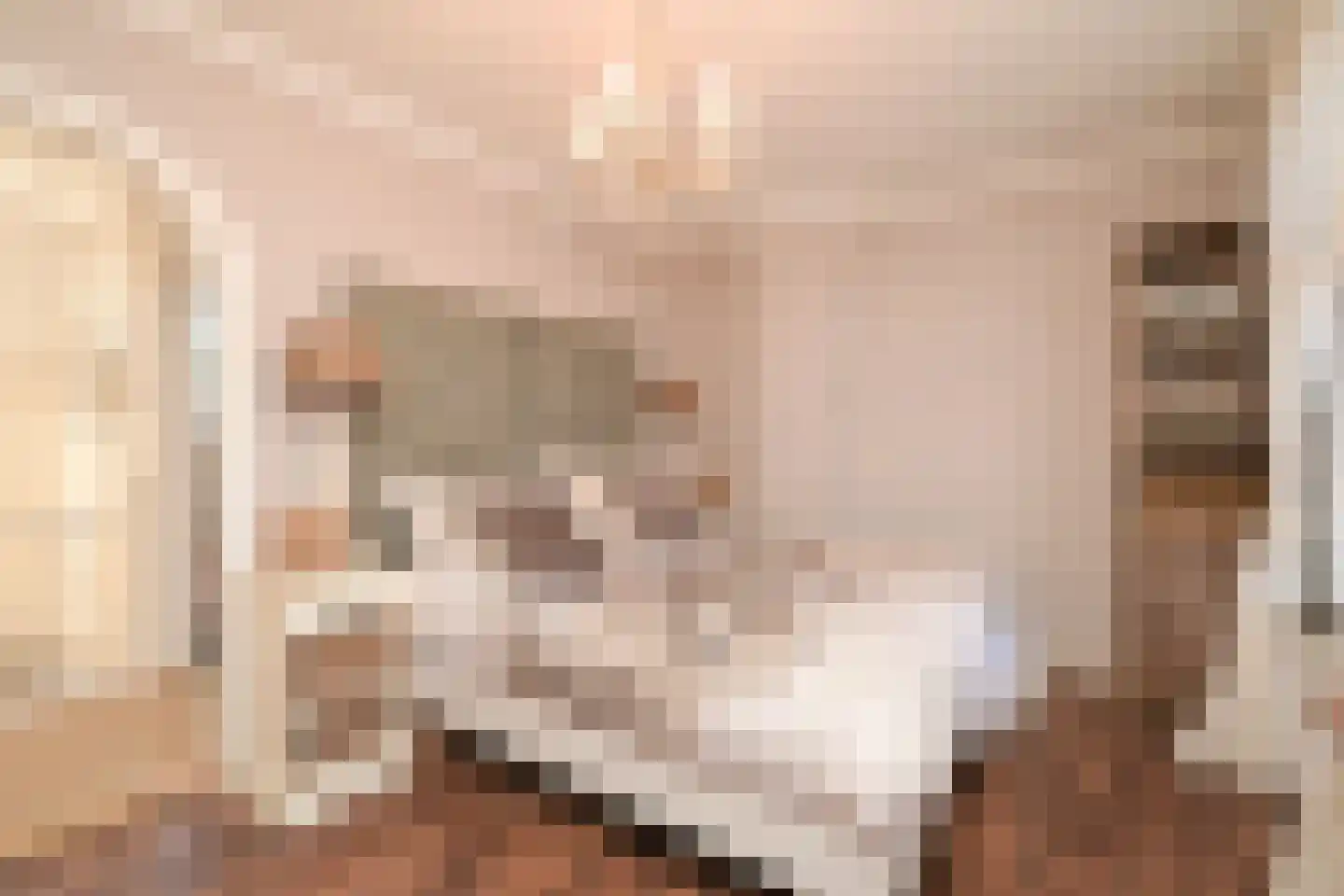 Vogeltuinen 14 Den Haag thumbnail 33