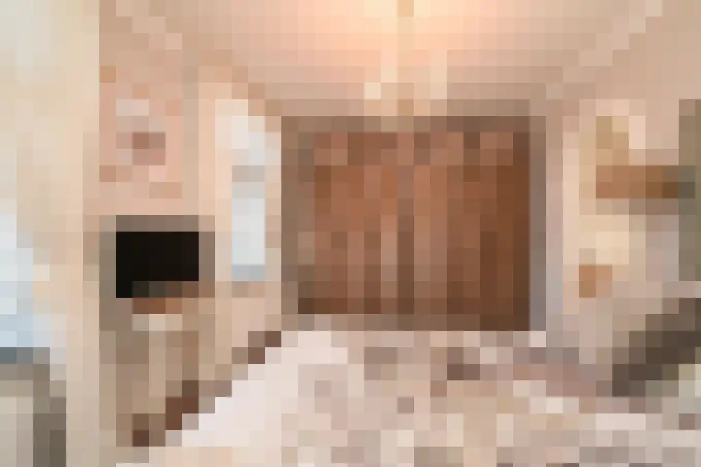 Vogeltuinen 14 Den Haag thumbnail 34