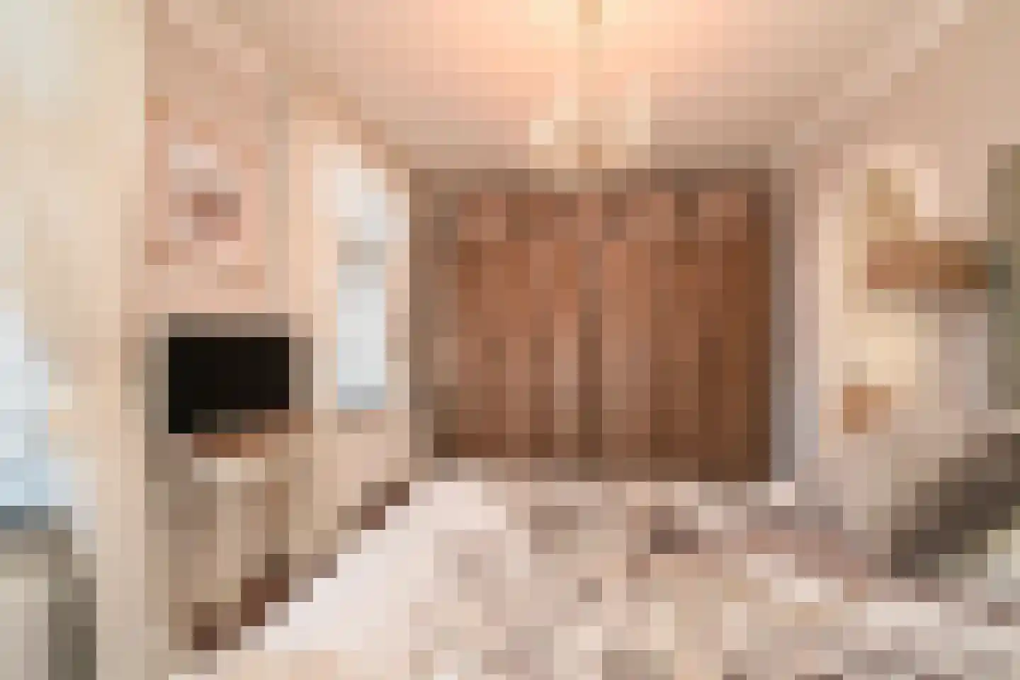 Vogeltuinen 14 Den Haag thumbnail 34
