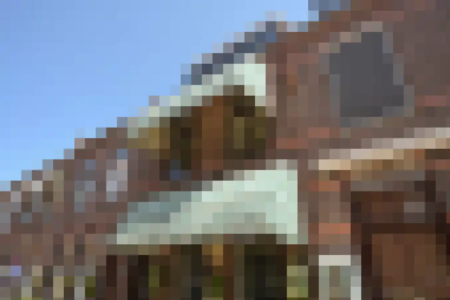 Vogeltuinen 14 Den Haag thumbnail 4