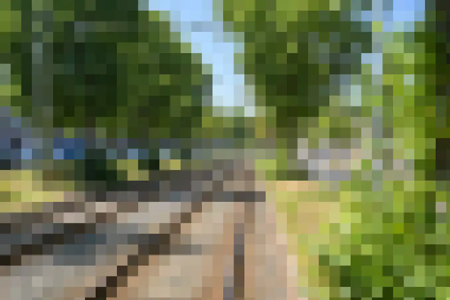 Vogeltuinen 14 Den Haag thumbnail 43