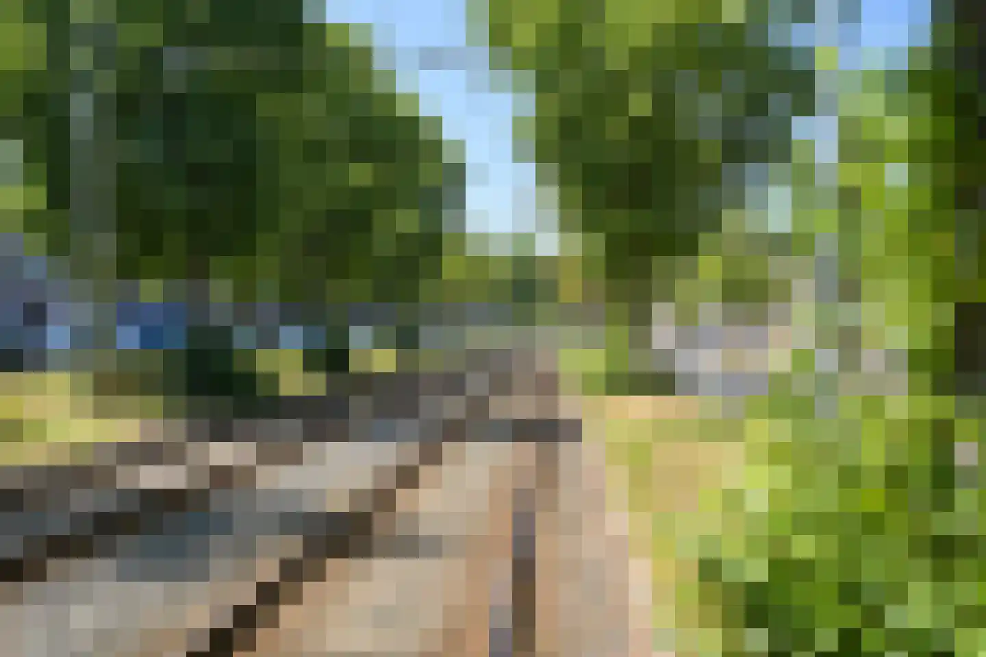 Vogeltuinen 14 Den Haag thumbnail 43