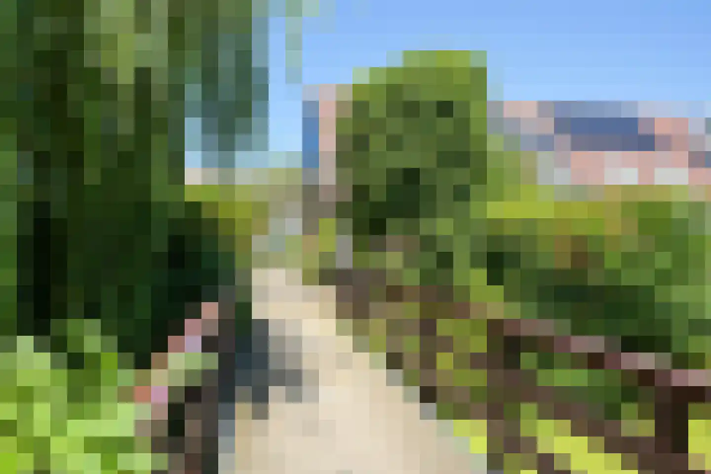 Vogeltuinen 14 Den Haag thumbnail 44