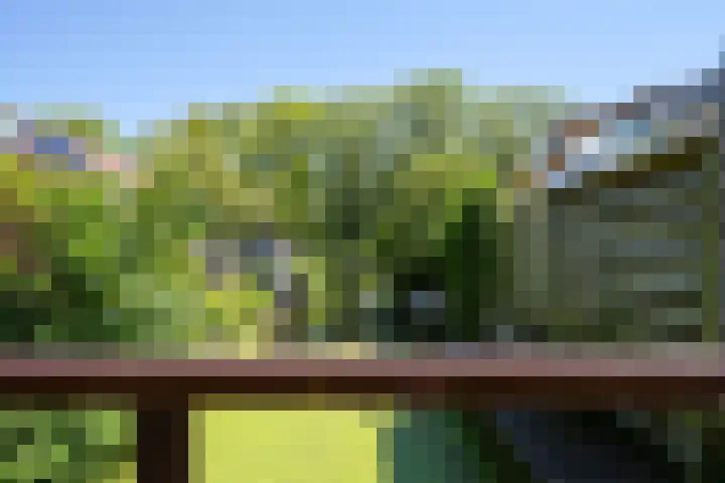 Vogeltuinen 14 Den Haag thumbnail 45