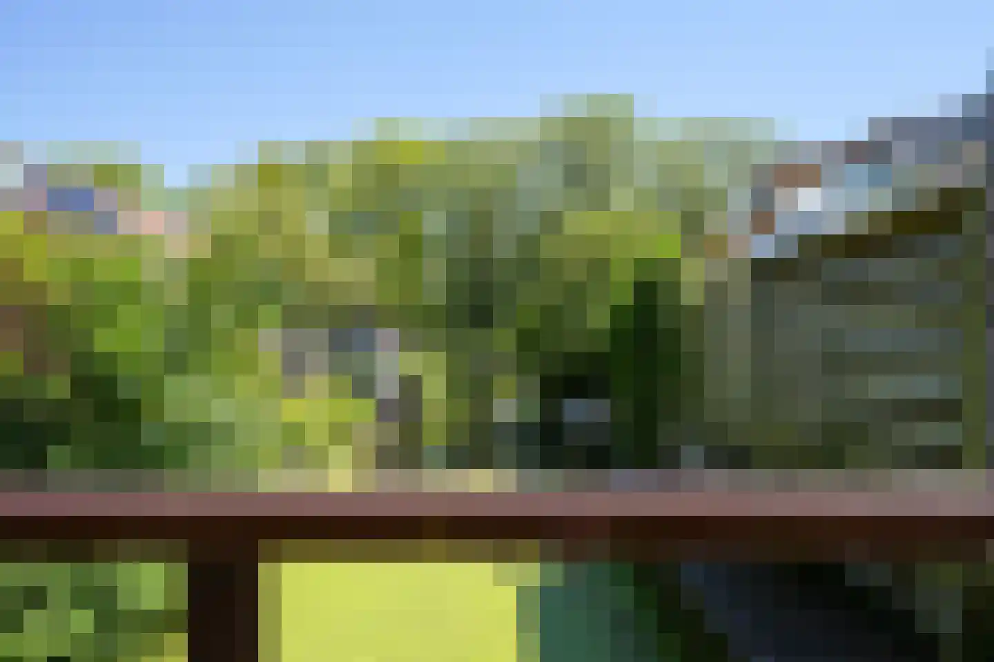 Vogeltuinen 14 Den Haag thumbnail 45