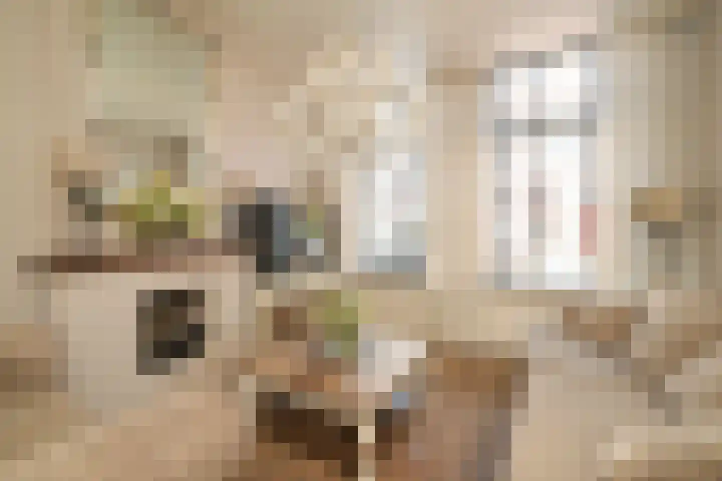 Vogeltuinen 14 Den Haag thumbnail 8