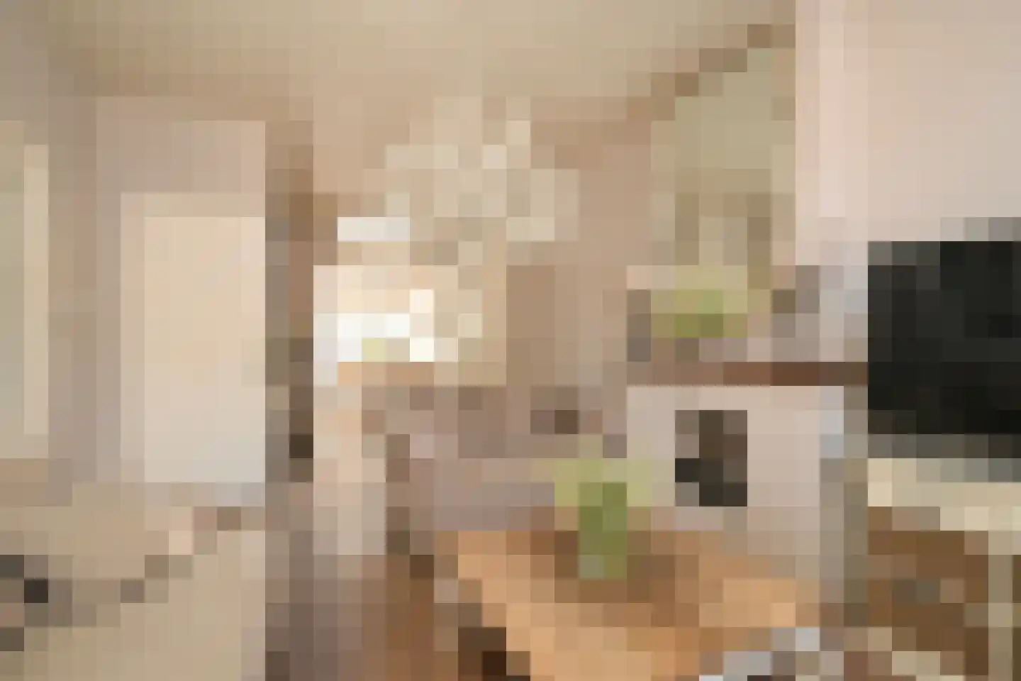Vogeltuinen 14 Den Haag thumbnail 9