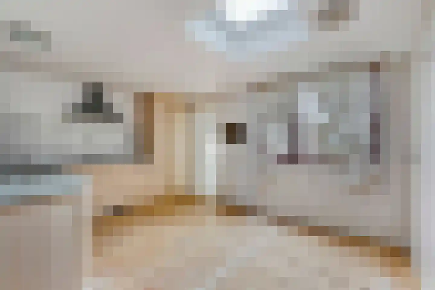 Vogeltuinen 18 Den Haag thumbnail 10