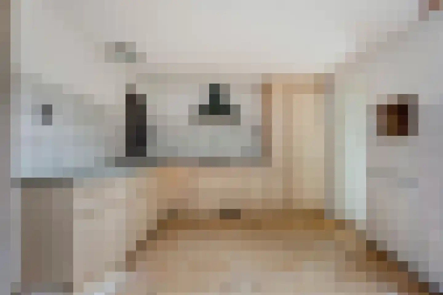 Vogeltuinen 18 Den Haag thumbnail 11