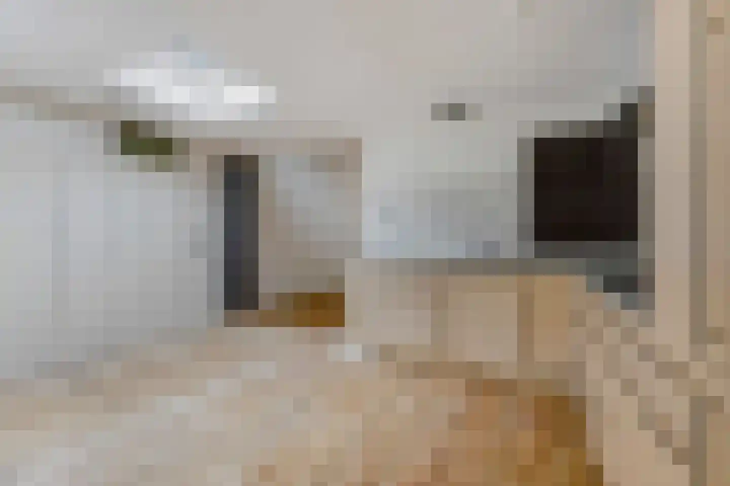 Vogeltuinen 18 Den Haag thumbnail 12
