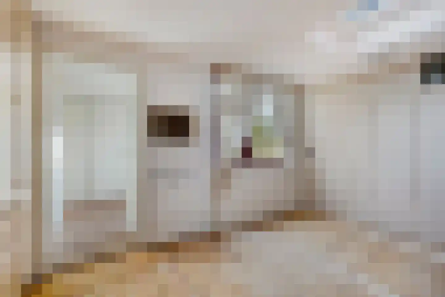 Vogeltuinen 18 Den Haag thumbnail 13