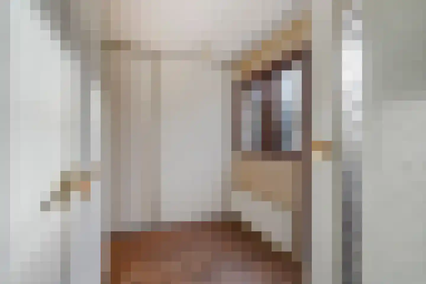 Vogeltuinen 18 Den Haag thumbnail 14