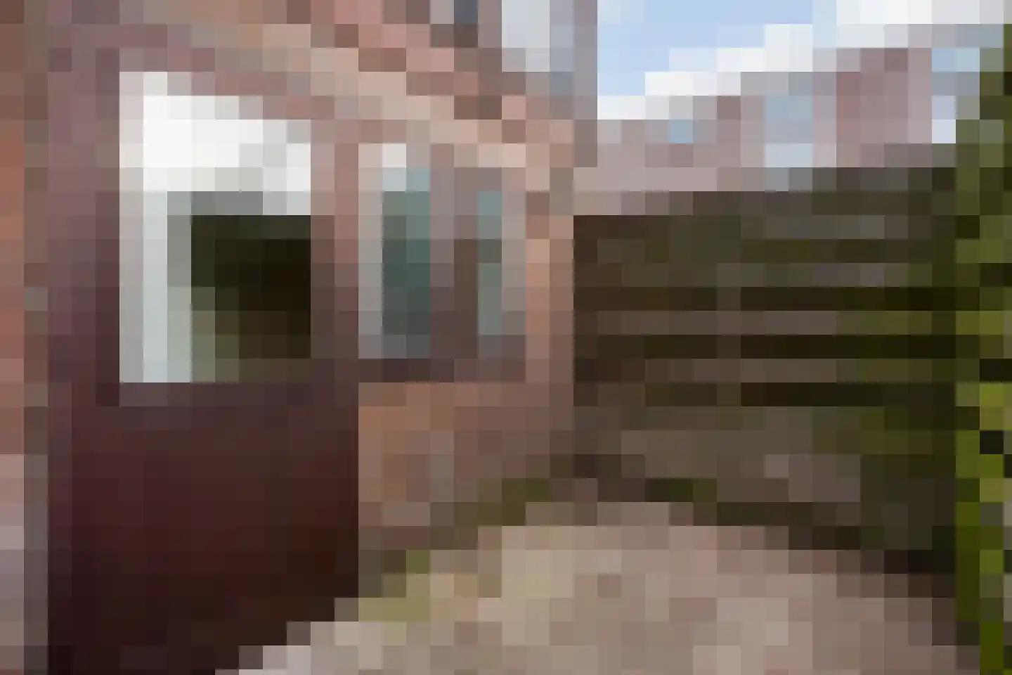 Vogeltuinen 18 Den Haag thumbnail 16