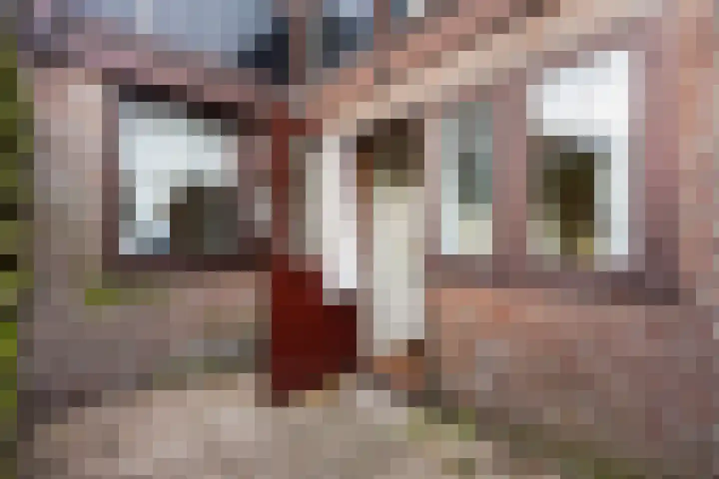 Vogeltuinen 18 Den Haag thumbnail 17