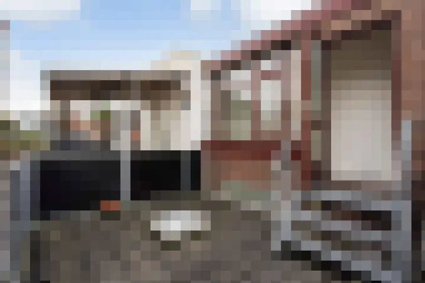 Vogeltuinen 18 Den Haag thumbnail 30