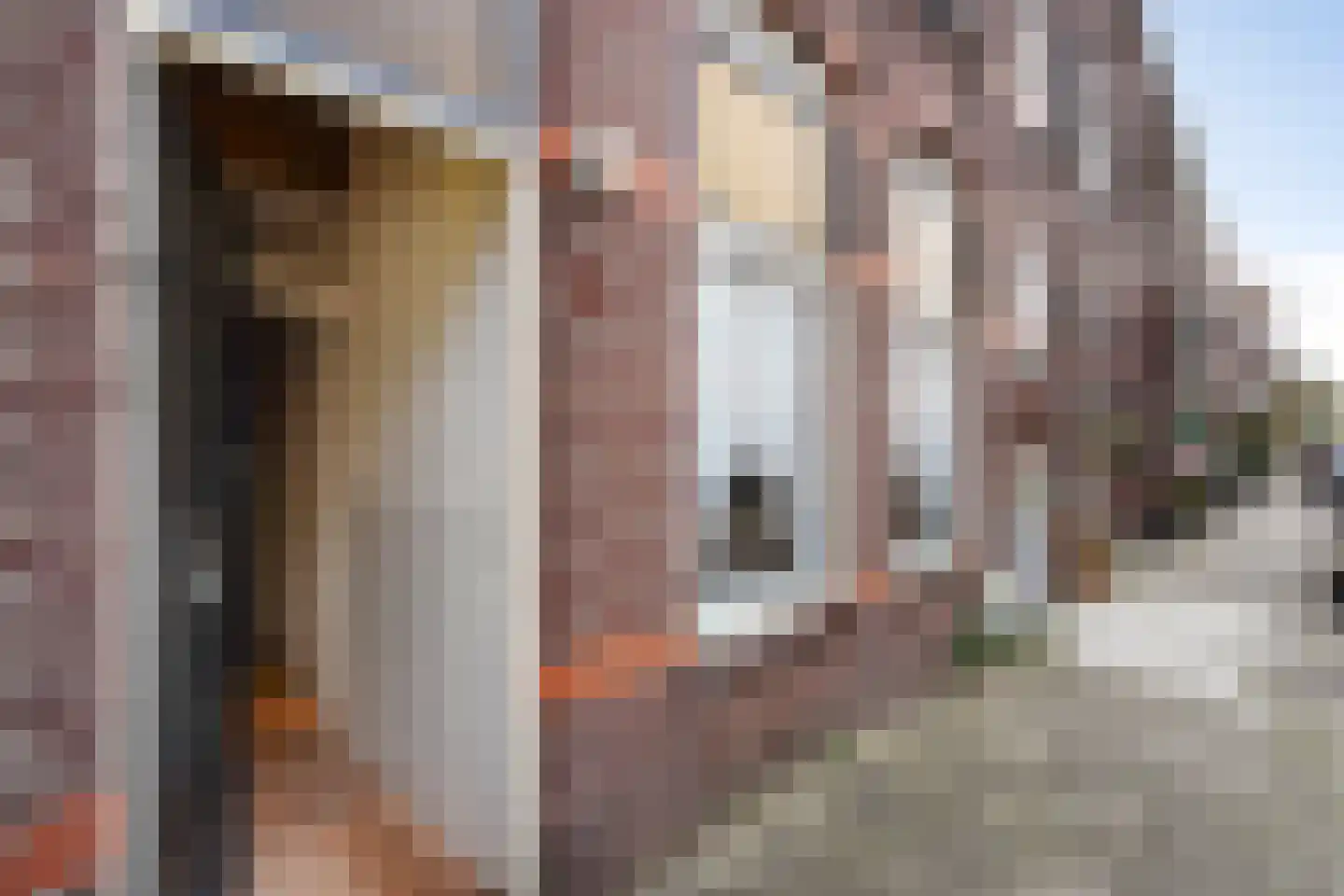 Vogeltuinen 18 Den Haag thumbnail 5