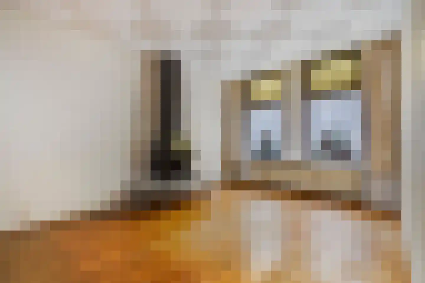 Vogeltuinen 18 Den Haag thumbnail 7