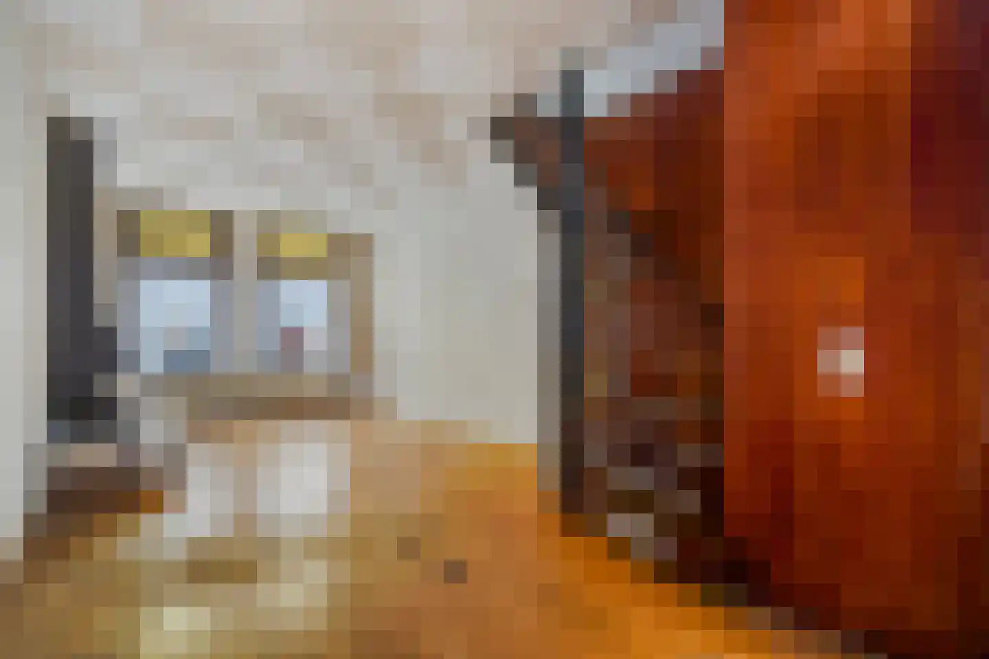 Vogeltuinen 18 Den Haag thumbnail 8