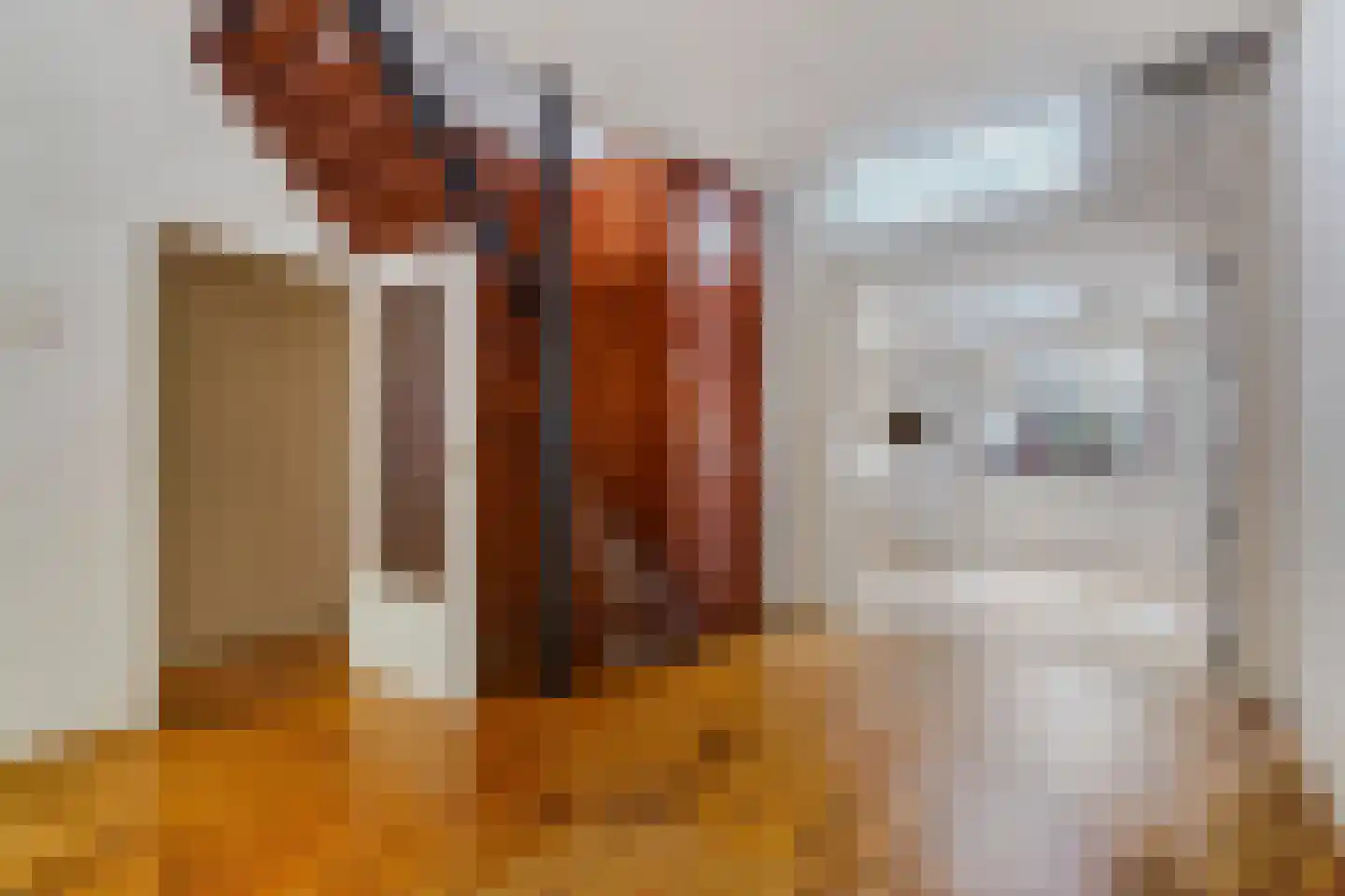 Vogeltuinen 18 Den Haag thumbnail 9