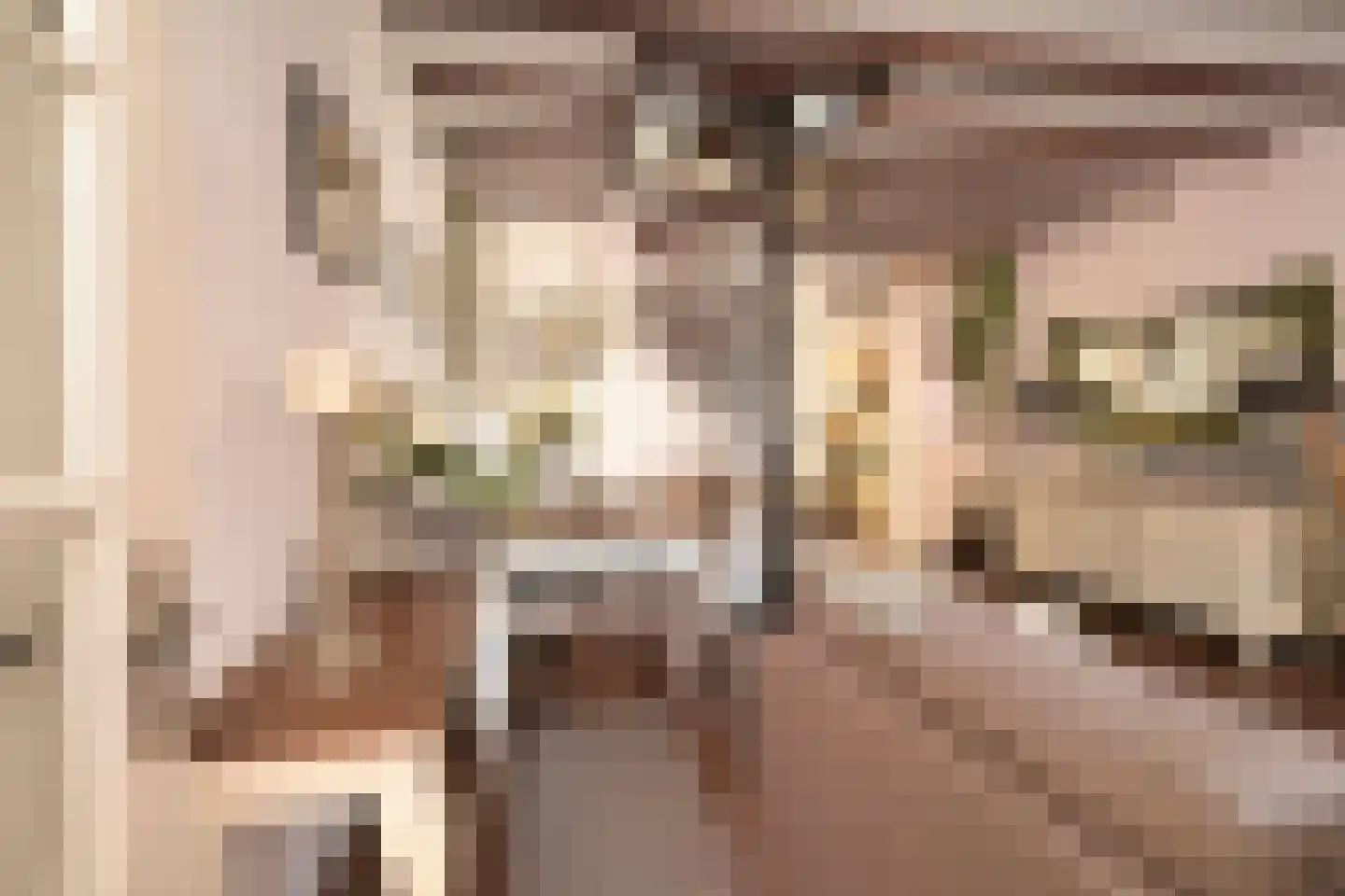 Vogeltuinen 2 Den Haag thumbnail 12