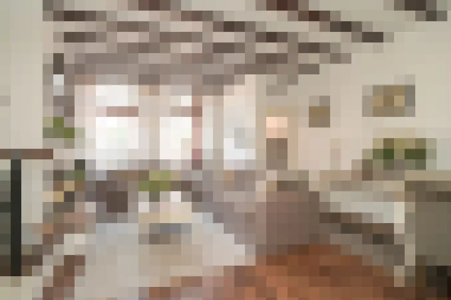 Vogeltuinen 2 Den Haag thumbnail 13