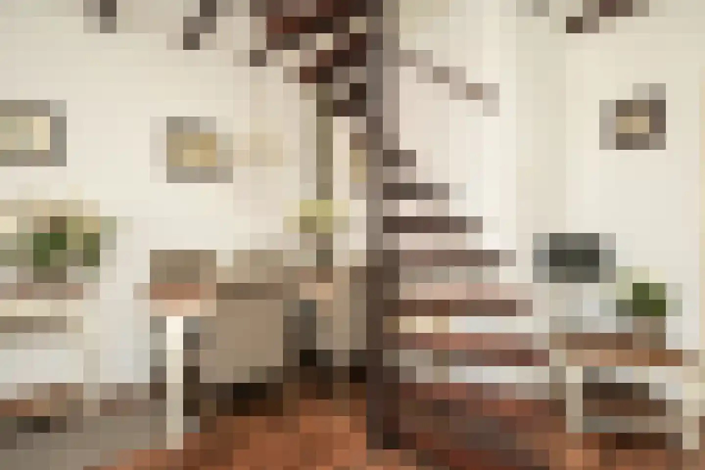 Vogeltuinen 2 Den Haag thumbnail 14