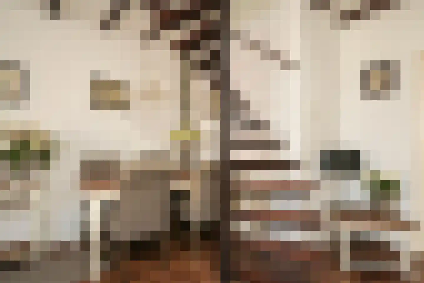 Vogeltuinen 2 Den Haag thumbnail 15