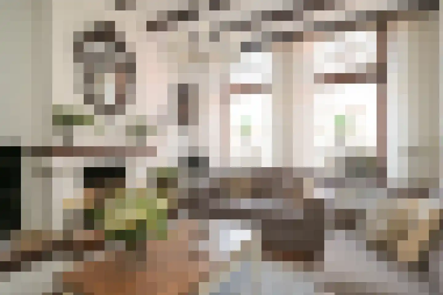 Vogeltuinen 2 Den Haag thumbnail 16