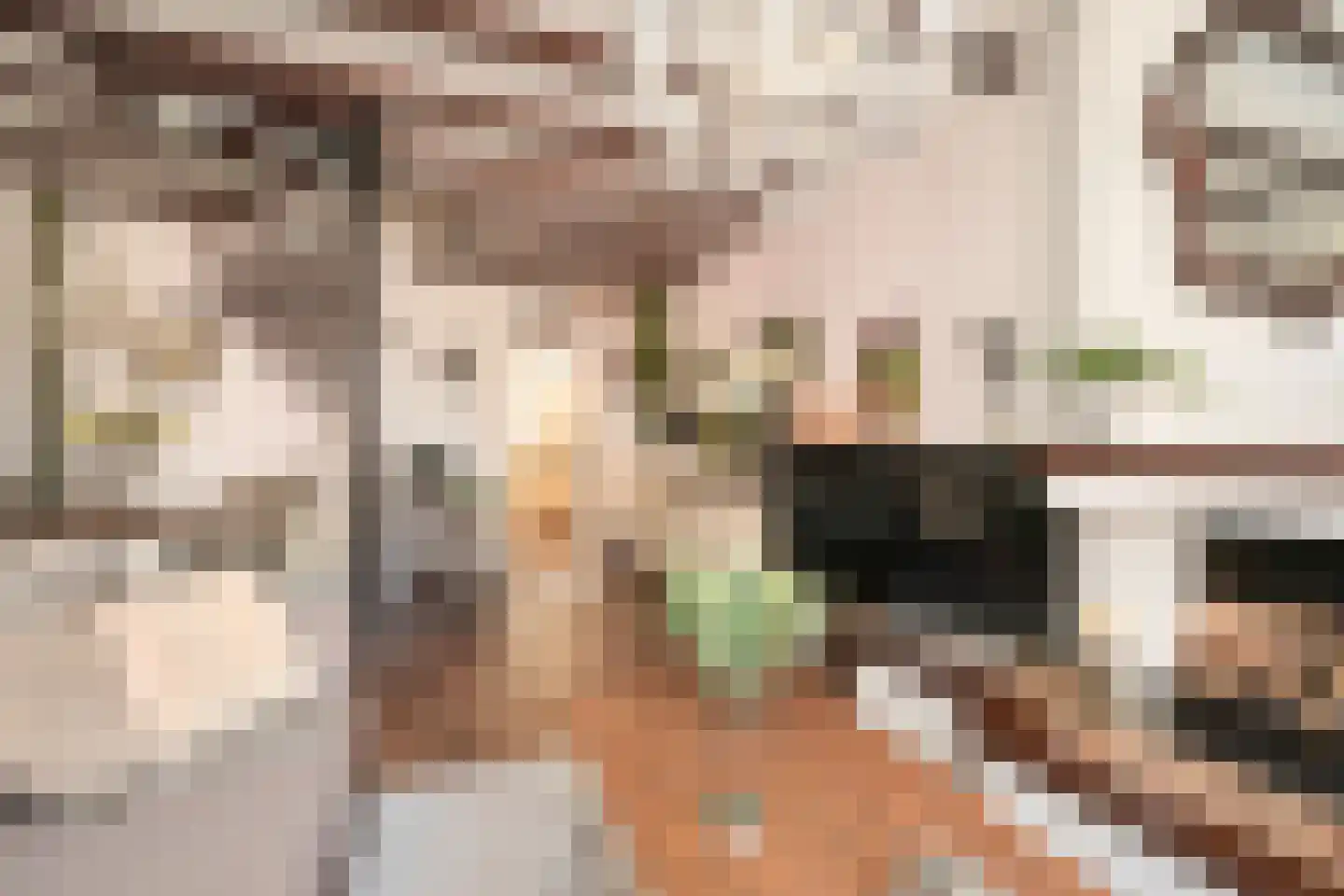 Vogeltuinen 2 Den Haag thumbnail 17