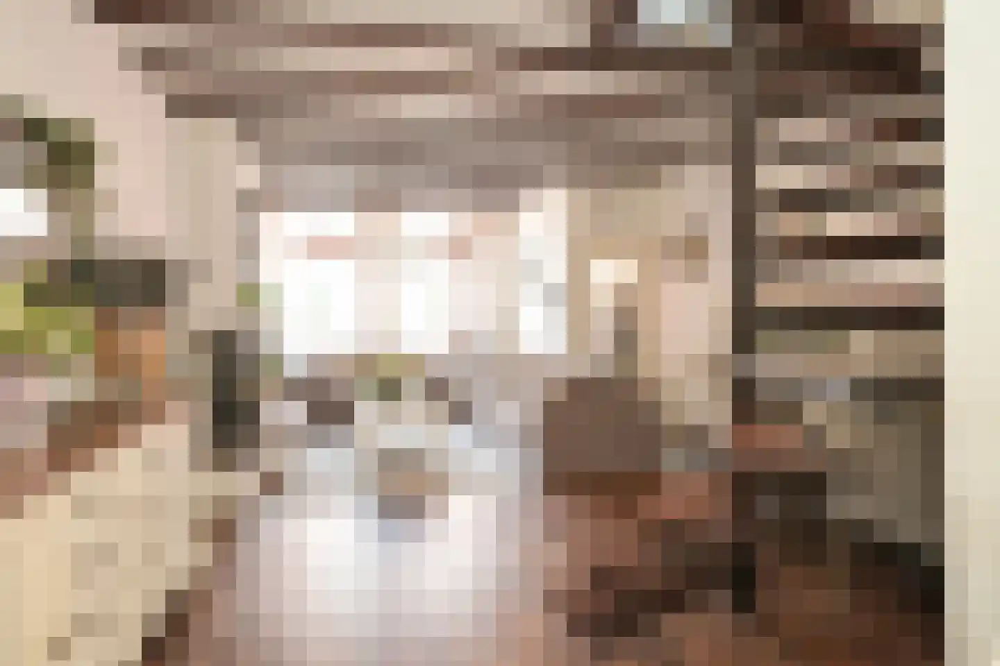 Vogeltuinen 2 Den Haag thumbnail 19