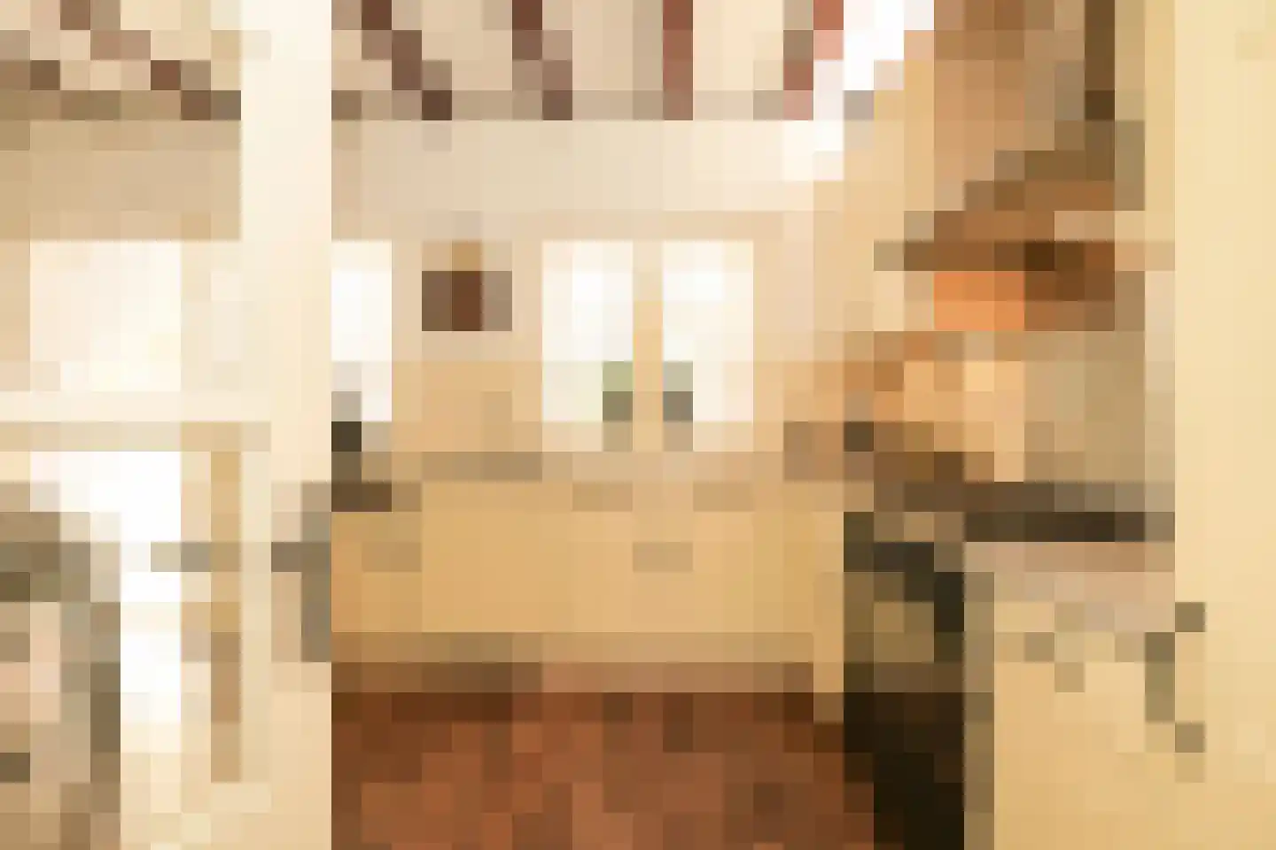 Vogeltuinen 2 Den Haag thumbnail 20