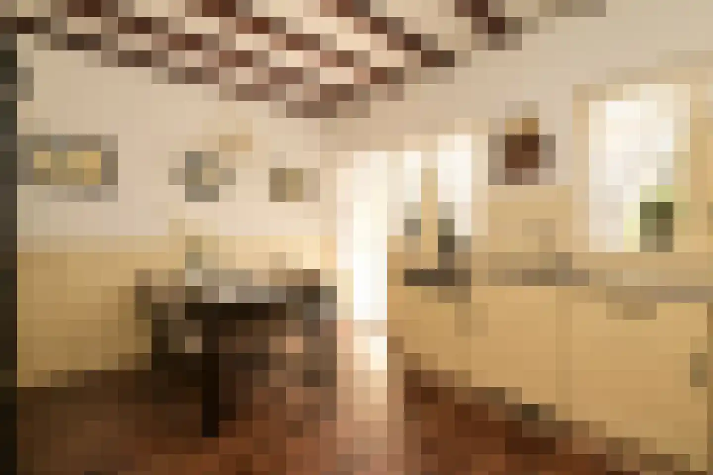 Vogeltuinen 2 Den Haag thumbnail 21